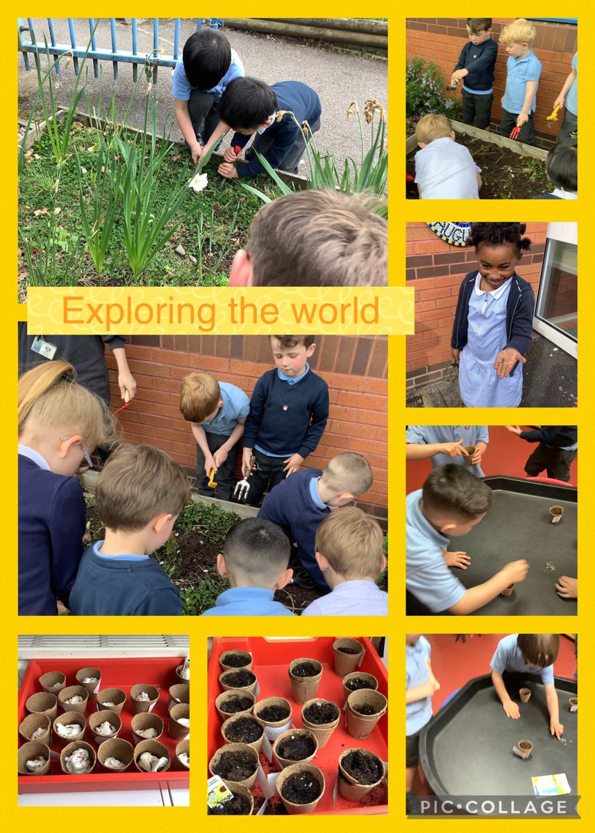 Year 1 and Reception have had a very busy afternoon at Exploring the world club. We have helped to look after Gods creation by tidying up the planters outside the front of the school and then we have planted our own cress and sunflower seeds. @OurLadyandAllS1 #livesimply