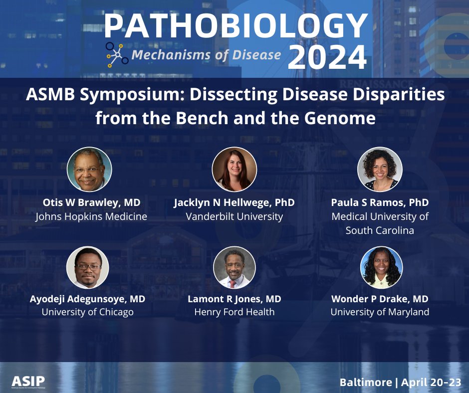 This session, organized by @amsocmatbio, will focus on six #chronicdisorders that disproportionately afflict communities of color and discuss a unifying approach to personalized #treatments. See the full #Pathobiology2024 program bit.ly/4azEiLG #ASIPmeeting #ASIP2024