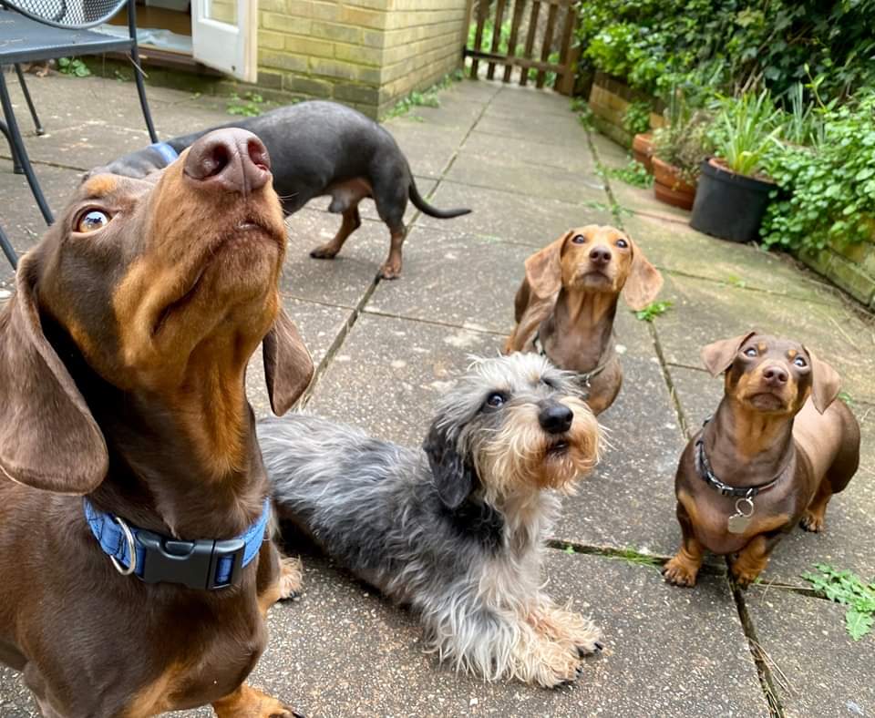 Great photograph! ❤️