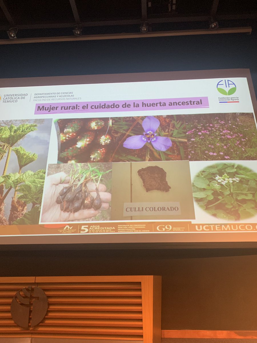 El trabajo de la Doctora Gina Leonelli en el rescate de los conocimientos y prácticas detrás de las huertas ancestrales le da tanto sentido a trabajar en la UCT…emociona #compromisopublico #innovacionagraria