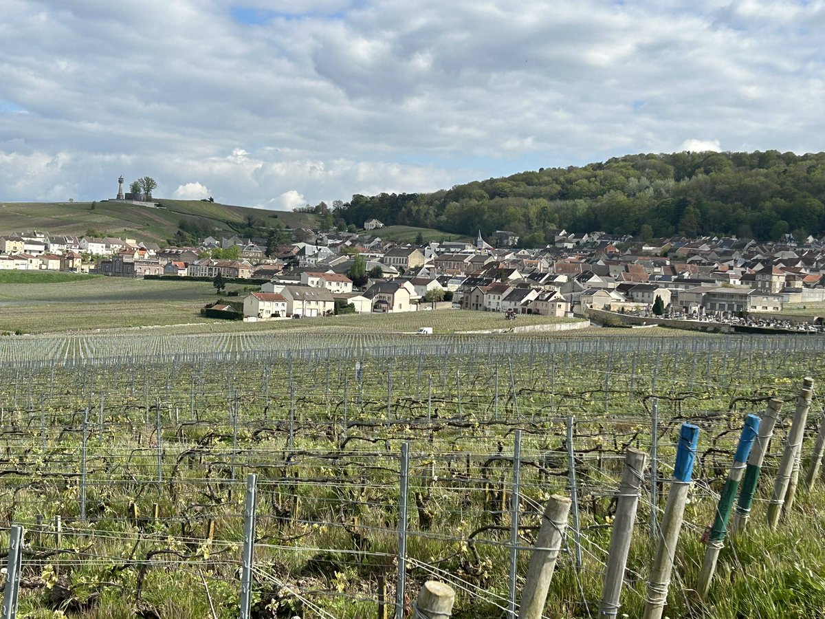 Verzenay, « Poirier Saint Pierre » #InPursuitofTaste -JBL