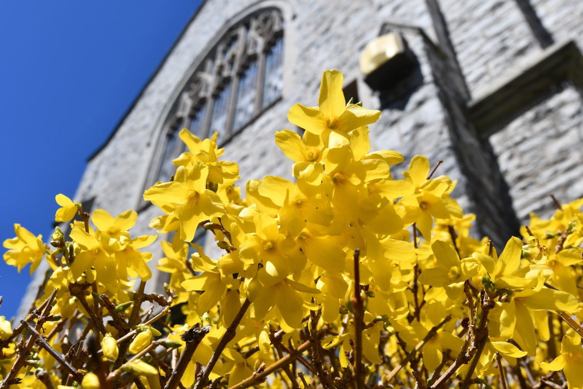 Queen's University tweet media