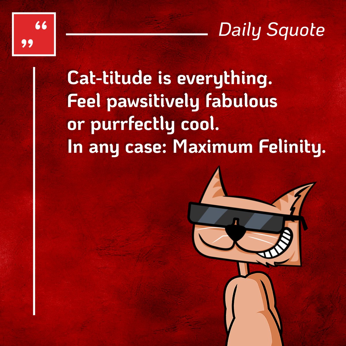 sqrcat4avax's tweet photo. 📝 Daily Squote #21
🟥😼
#dailysquote #maximumfelinity #avax #sqrcat #catcoin #community #wagmi #cagmi #crypto #square #squote #coolcat https://t.co/4MGW8bj0JA