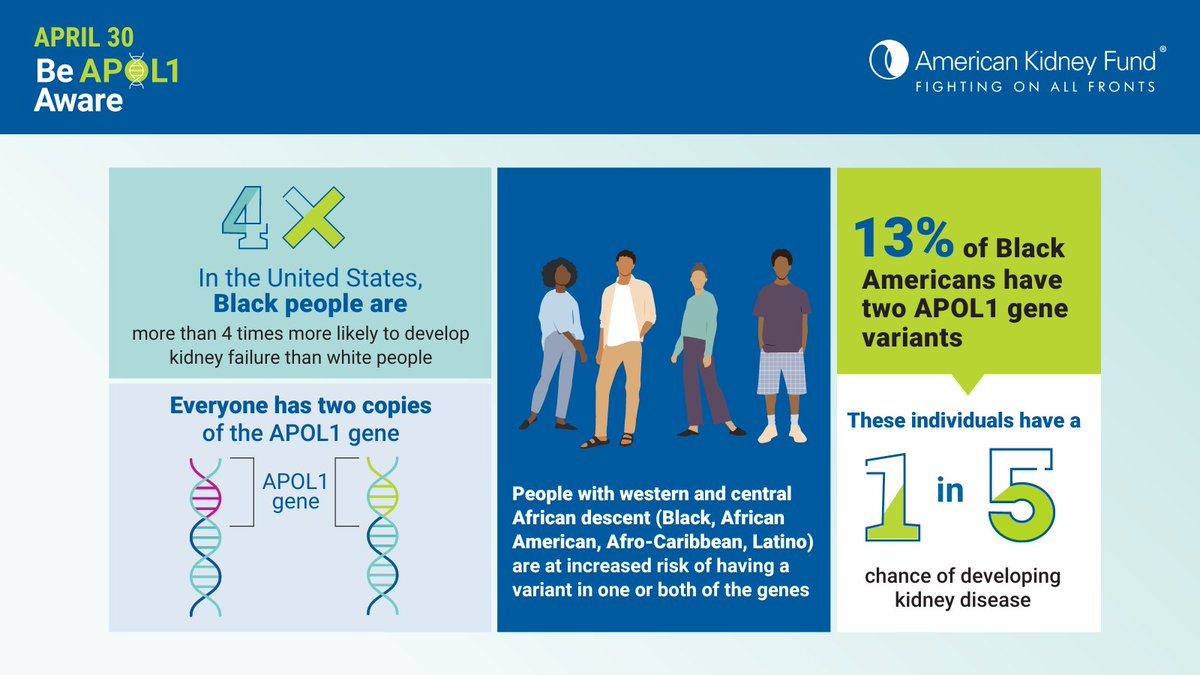 Did you know that 1 in 5 Black Americans with 2 variations of the APOL1 gene have a chance of developing kidney disease? Learn more about APOL1-mediated kidney disease (AMKD) & help others become #APOL1Aware with AKF’s AMKD Awareness Day toolkit: bit.ly/3ITpD1o