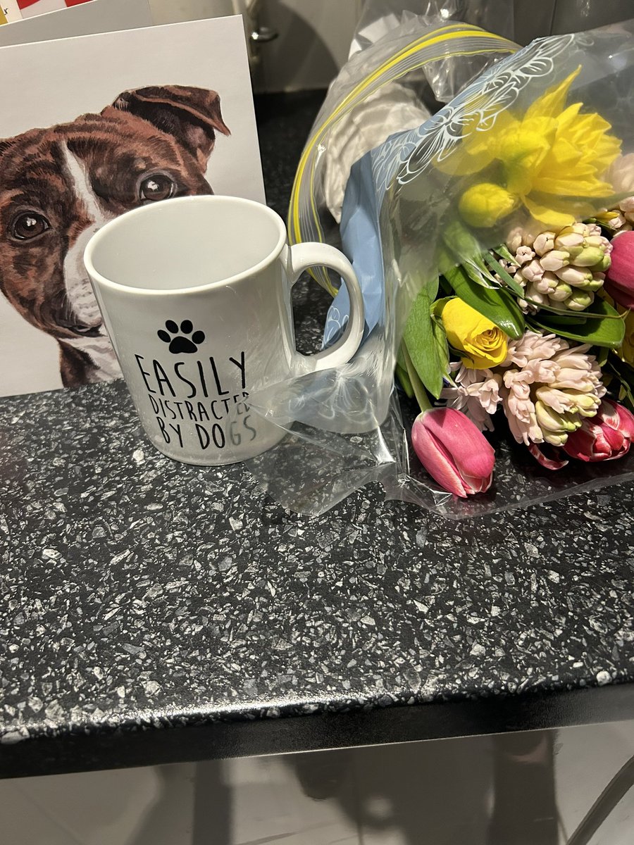Nice surprise today from a lovely student #thankyoumeansalot 
<a href="/aru_fse/">ARU Science & Engineering</a> <a href="/AngliaRuskin/">ARU</a> 🐾🐾The student did their disso on DDA/BSL legislation, hence the canine theme!