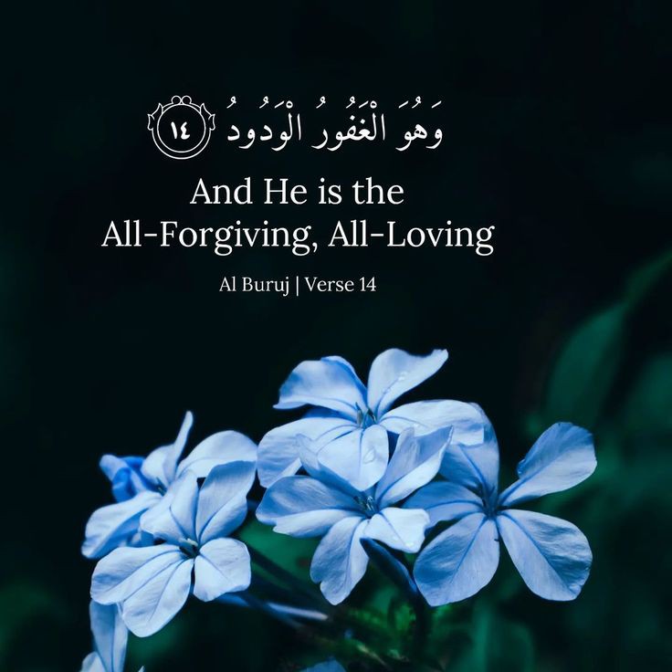 Retweet 🤍 🙏
And He is the
All-Forgiving, All-Loving

Al Buruj | Verse 14