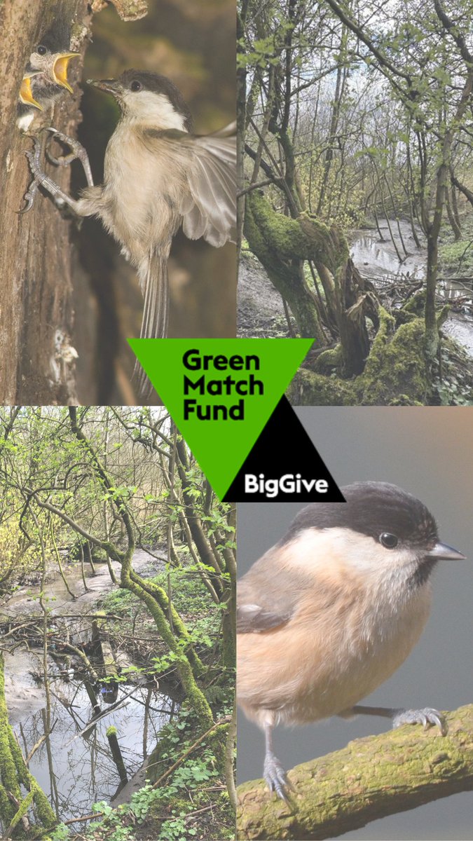 Until 12pm on the 25 April any donations made via our Big Give page will be matched up to £10,000, doubling the impact of your contributions. Your support will help us reach our next milestone in our ongoing appeal and take us a step closer to our £300,000 target. (2/3)