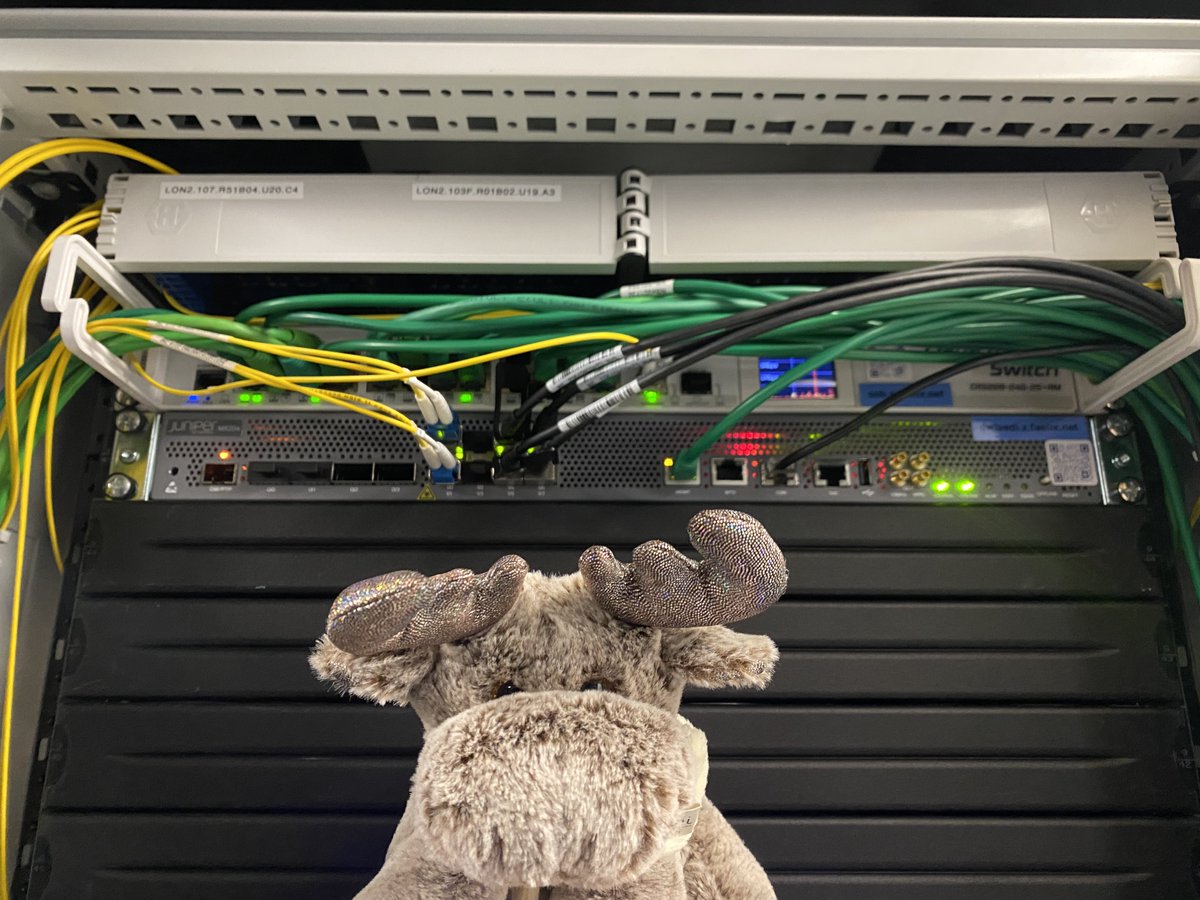 Network Moose tweet media