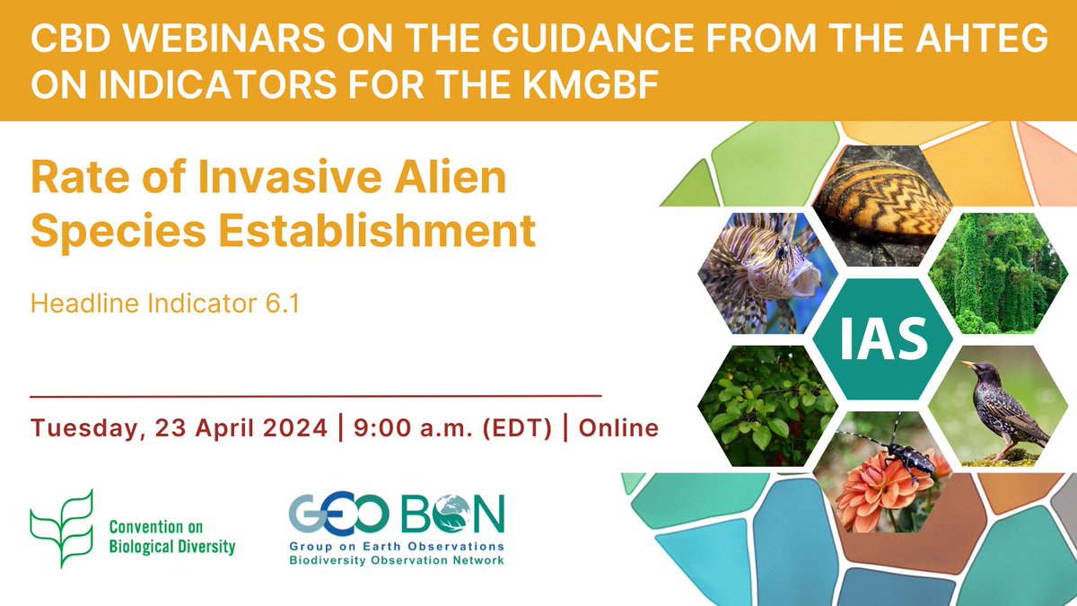 💻WEBINAR SERIES on the outcomes of the AHTEG💻 Together with @UNBiodiversity,@GEOBON_org will be hosting a webinar on the 'Rate of Invasive Alien Species Establishment' - indicator 6.1 of the #KMGBF Monitoring Framework. Register now 👉events.teams.microsoft.com/event/592d4403…