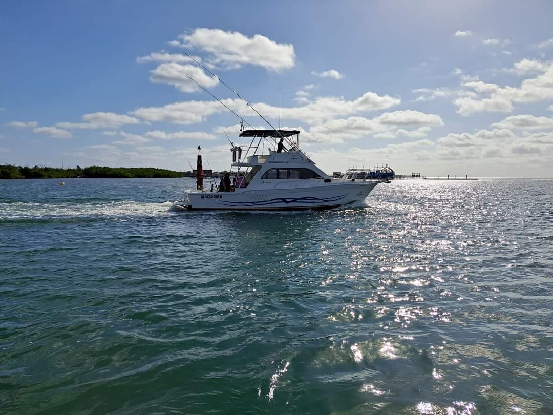 TTC_Cuba's tweet photo. 🏄🎣🤿Con el propósito de resaltar los valores de #Cuba como un destino ideal para las actividades #náuticas en el #Caribe, la empresa Marinas y Náuticas Marlin S.A mostrará productos renovados en la próxima Feria Internacional de Turismo #FITCUBA 2024. 
https://t.co/LLGVN4KWqB https://t.co/OXKpSAapZR