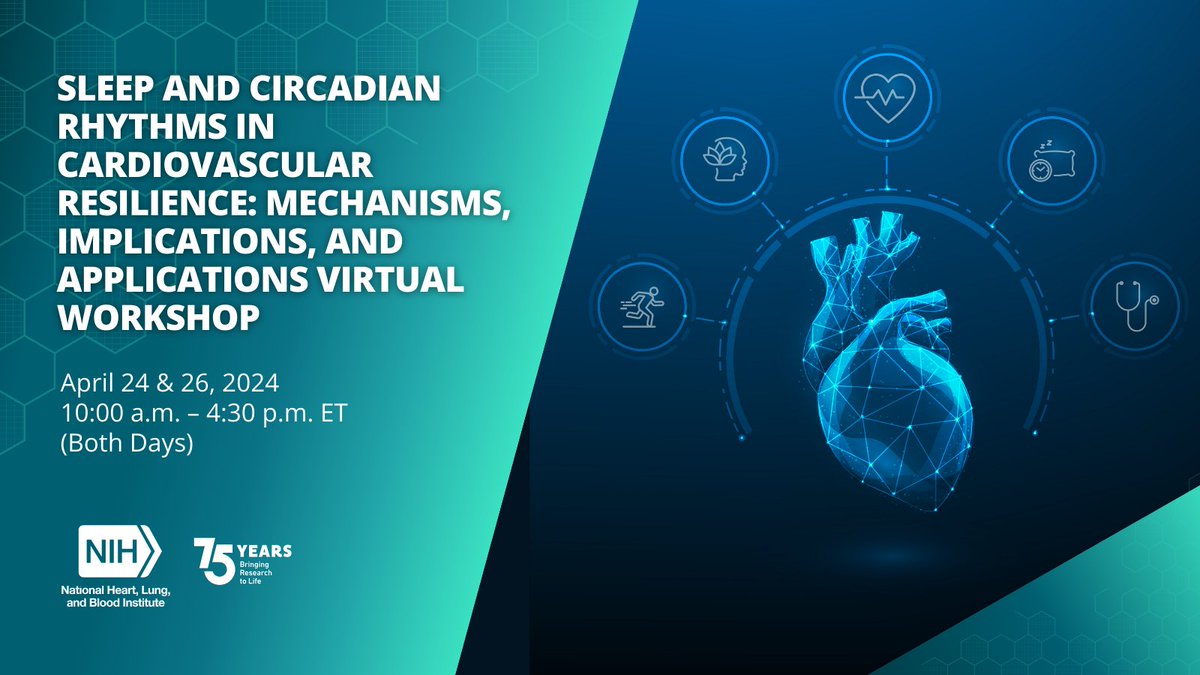 Learn more about the intricate relationship between #Sleep, #CircadianRythms, and #Cardiovascular resilience at a virtual workshop on April 24 & 26. Registration is required: bit.ly/4aIW8eA