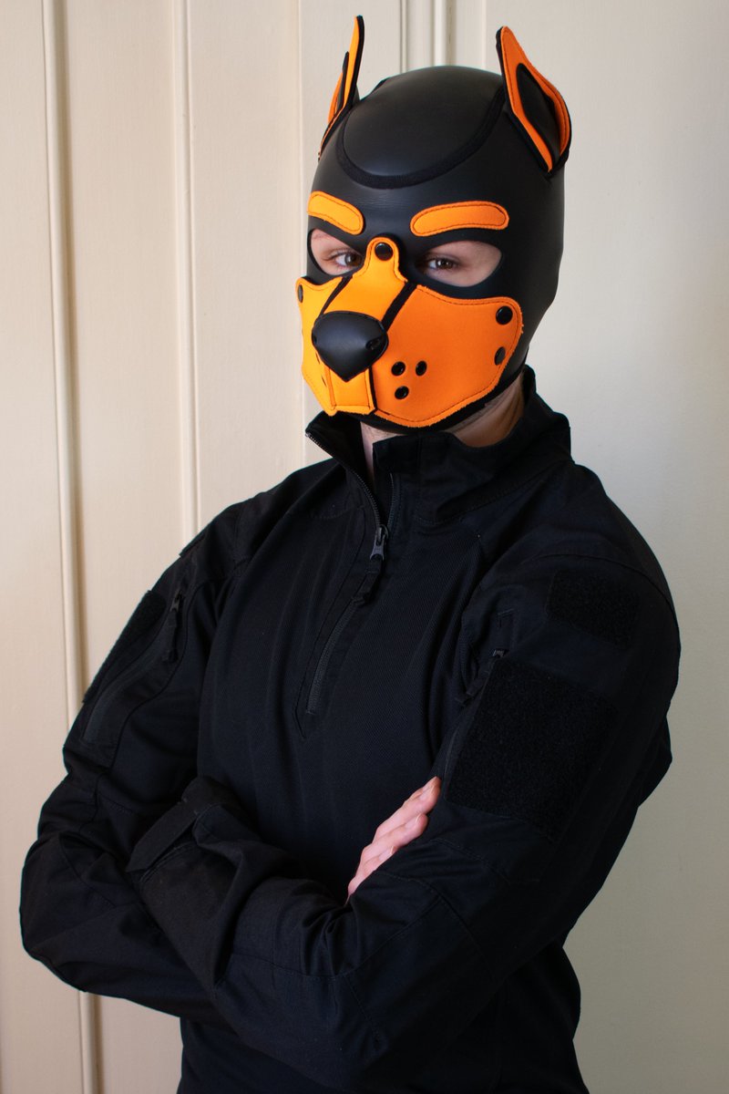 Sergent Noky reporting for duty. 

📸 : <a href="/PupEir/">Pup Eir</a>