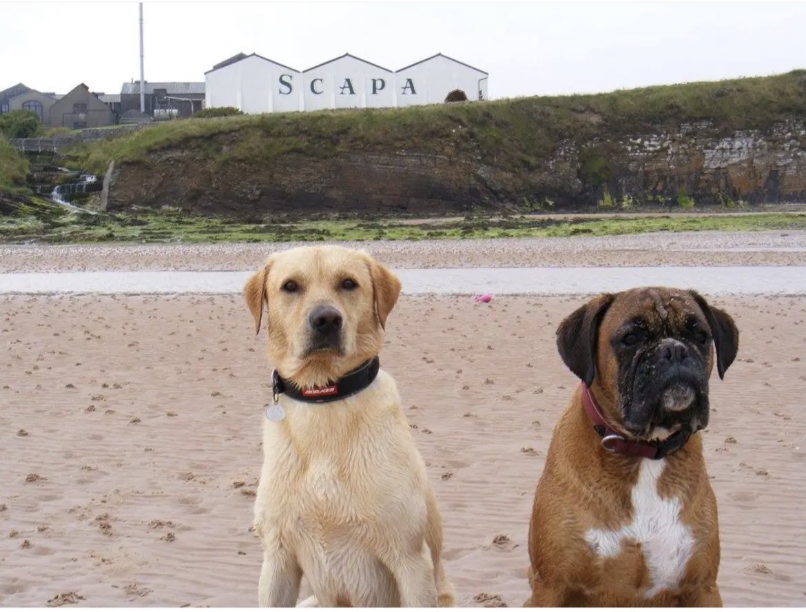 Scapa Distillery on Scapa Beach’s most westerly point provides a great opportunity for a team photo.