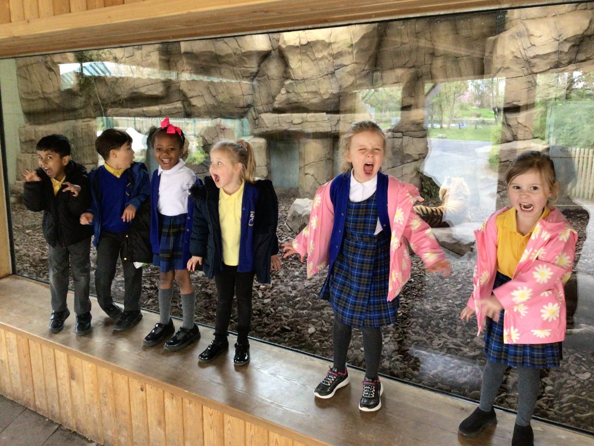 We then saw some very big cats! We loved watching the tigers and lions prowl around @BlackpoolZoo. We tried to roar as loud as them! 🐅🦁 @Cornerstonesedu #AnimalSafari #engage #EYFS @CanonSharples @LT_Trust