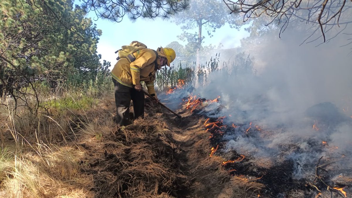Sobre los #IncendiosForestales 🔥🌳 en la entidad, el Centro Estatal de Manejo del Fuego informa que se ✅liquidaron dos siniestros en el municipio de Zacatlán y uno en Tlatlauquitepec. 🔴En Quimixtlán se tiene registro de dos incendios, uno está controlado al 100 por ciento y