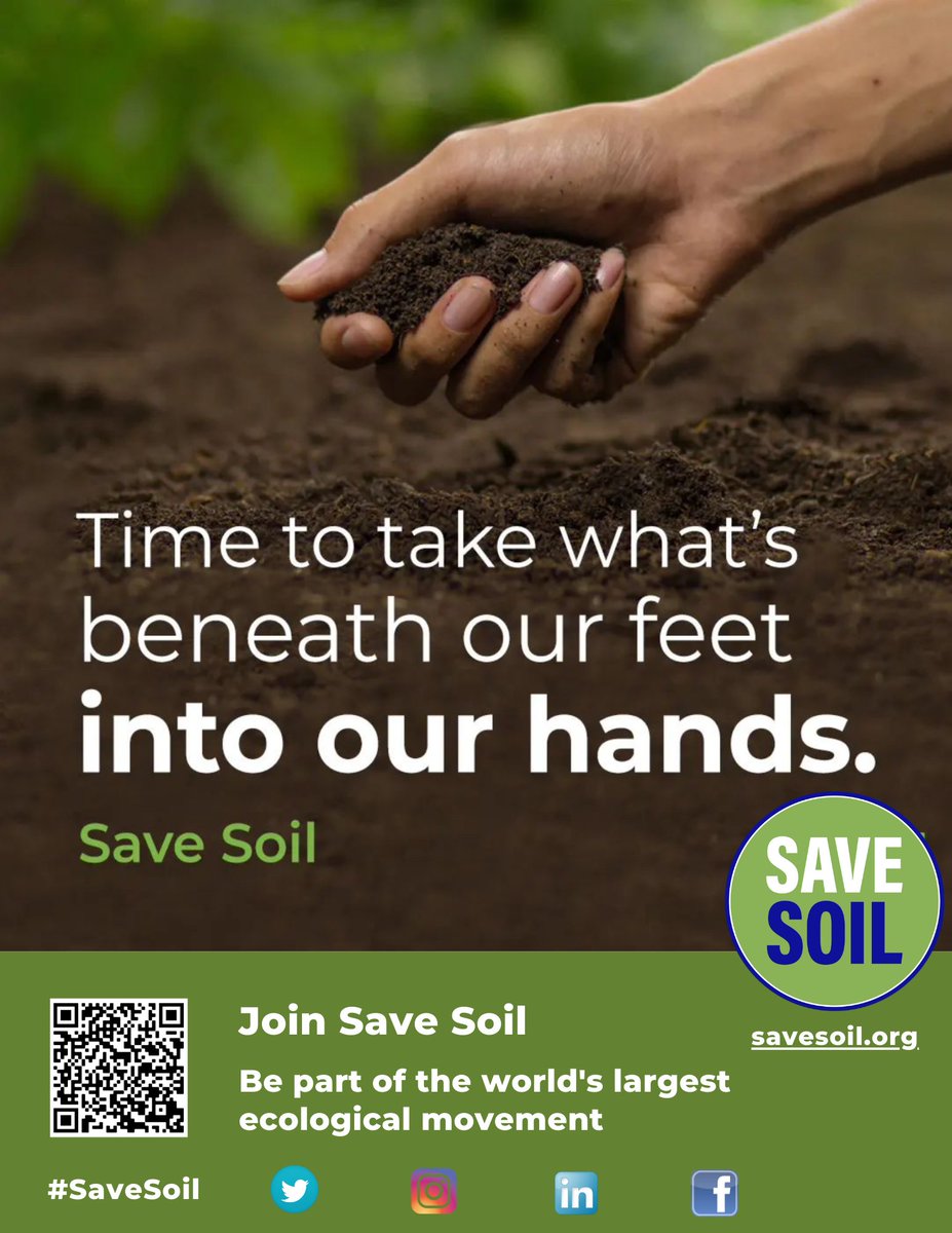 Soil fertility growth increases in regenerative systems organically through the application of cover crops, crop rotation, compost, mulches, and animal manures, restoring the plant/soil microbiome to promote the release, transfer, and cycle of essential soil nutrients. #SaveSoil