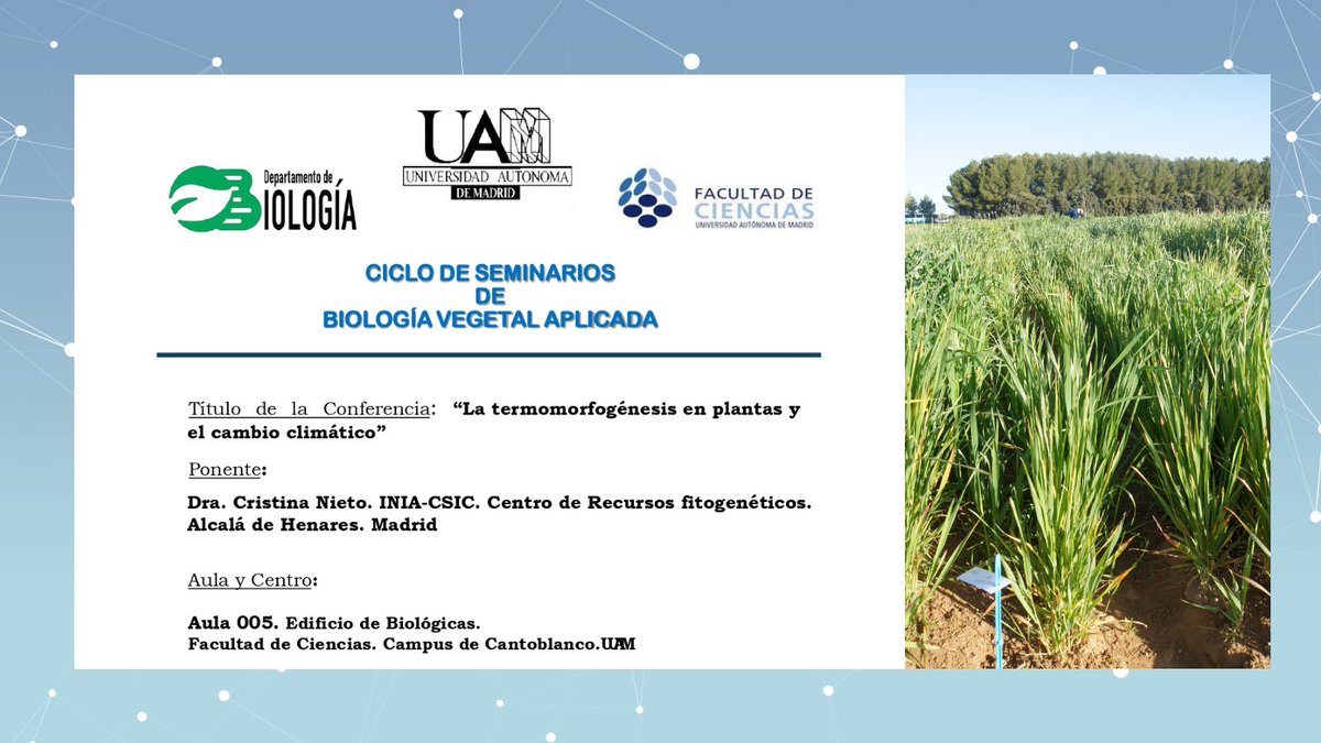 TrigoHubCSIC's tweet photo. Cristina Nieto, científica del @INIA_es, ha participado en el ciclo de seminarios de biología vegetal aplicada de la #UAM. La conferencia sobre termomorfogénesis en plantas y cambio climático está dirigida a estudiantes del Grado de Biología

#ConexionesCSIC #Trigo @crisnieto https://t.co/ZXwnKe4VXG