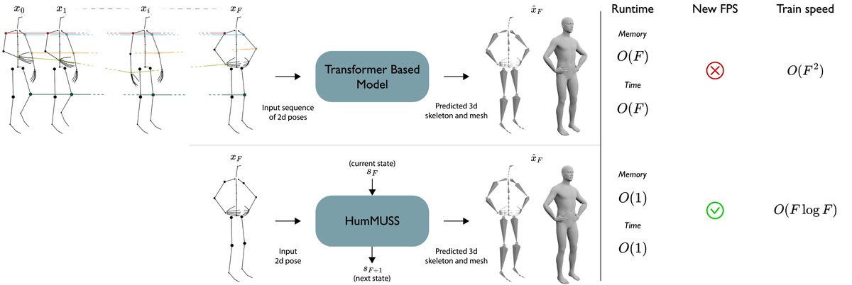 DenisTome's tweet photo. HumMUSS efficiently utilizes only the current frame and its current state for predictions, ensuring constant memory and time complexity. HumMUSS also generalizes to new frame rates and enhances the training speed without compromising the prediction accuracy. https://t.co/Jp7eeom18S