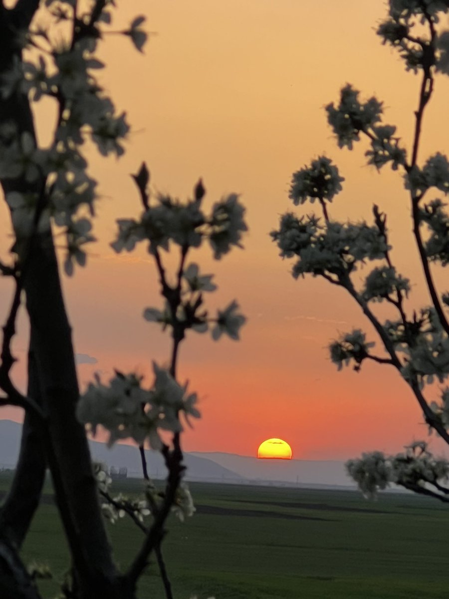 balkonumun muş manzarasına bakın çabuk 😃🧡