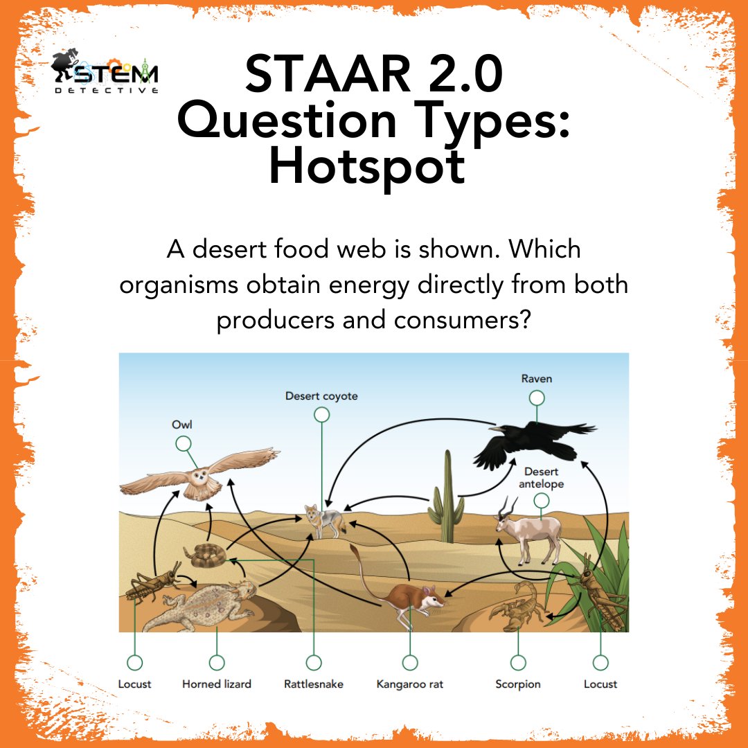 STEMdetective's tweet photo. 🌵 Ready for STAAR 2.0? Discover how our Sci-Mastery incorporates new question types like Hotspot, Drag and Drop, and more!🦉🐍

Free sample below! 🎁  
https://t.co/WZZU6XUaPV 

#students #science #TEKS #STEMdetective #STAAR #5thgradescience #STEM #texasteachers #hotspot https://t.co/bF1r8hkYWH