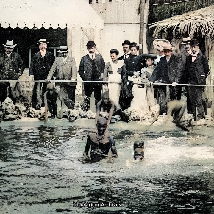 AfricanArchives's tweet photo. human zoo in paris, 1905.

—In the late 1800s through the 1900s, White Americans & Europeans used Africans to create "Human Zoos" in cities like Paris, Hamburg, Antwerp, Barcelona, London, Milan, Warsaw, St Louis and New York City. 

The idea of a Negro village was the most popular in Germany, where the ideas of Social Darwinism were widely accepted by many people. Human zoos were 19th and 20th century public exhibits of African people on display like at a museum, but in true life forum, also known as an "ethnological exposition" (the exhibition of human beings & a Negro village). 

Rarely did you find whites in these exhibitions, but you could always find Africans, Asians & Indigenous people of all kind caged and displayed in a "makeshift natural habitat."

These human displays were very popular & shown at world fairs where they drew Europeans and Americans in the tens of millions, from Paris to Hamburg, London to New York, Moscow to Barcelona... This was the Europeans way of solidifying "White Supremacy", through the expense of torturing and humiliating indigenous people. 

The Africans were usually forced to live behind gates and in cages similar to animals in a zoo today. This is what made them feel superior over other people in the world.

Most Africans were kidnapped and brought to be exhibited in the human zoo. Many of them died quickly, some within a yr. of their captivity. 
 
Alarge number of visitors attended these exhibitions in each city daily. The Parisian World Fair featured a human zoo that exhibited Africans, and 34 million people were drawn to the exhibition in just six months.😢

🖊️As the only admin behind this page, I try to research to educate. If you appreciate this effort, you can support to help the page thrive on https://t.co/vf5SMSPu4z. Your support is deeply appreciated! (Or just the ko-fi page for articles/posts roundup)