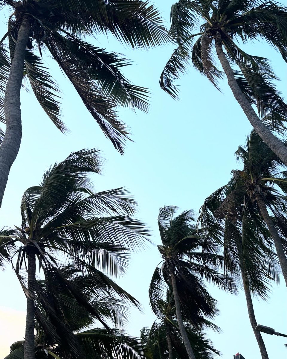 partapi_'s tweet photo. ทะเล 🌊 https://t.co/Adbf68hsC8