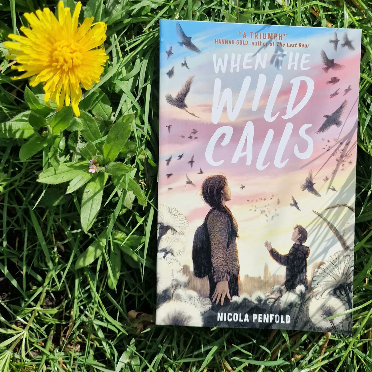 This is a plea for reviews, if anyone who's read When the Wild Calls has a couple of minutes to spare. Hate hate asking 🙈 but they make a big difference! ✨️😁