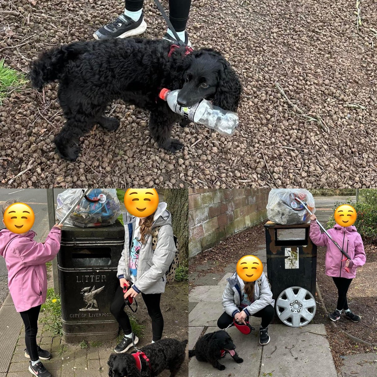 Claire & the girls have got a special guest staying with them, Ruby the dog 🐶 2 bags of litter removed between them all Ruby even picked up a plastic bottle to help ♻️❤️ #pennylanewombles #litterpicking #sustainable #gogreen #savetheplanet #beatles #pennylane #thebeatles