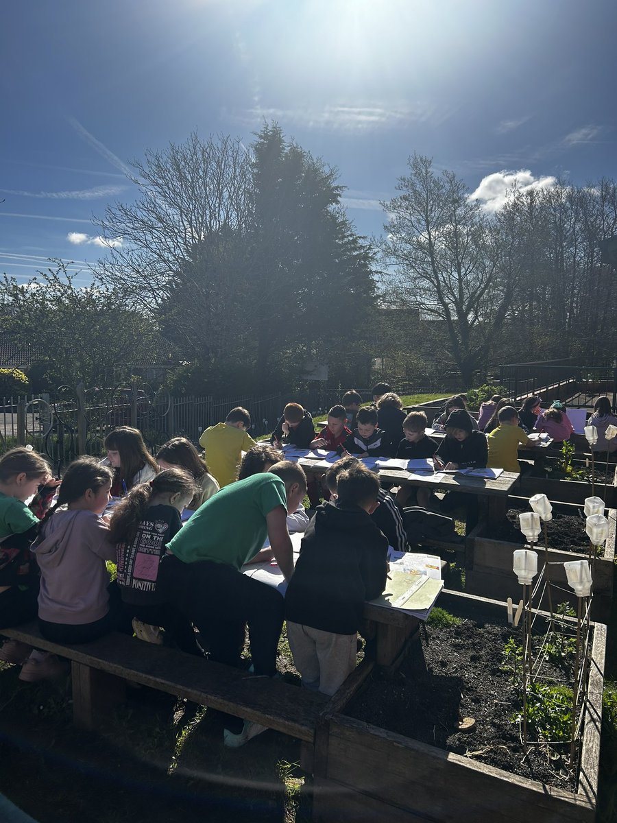 The sun has been shining so we took our work outside on beautiful this morning! 🌞☺️