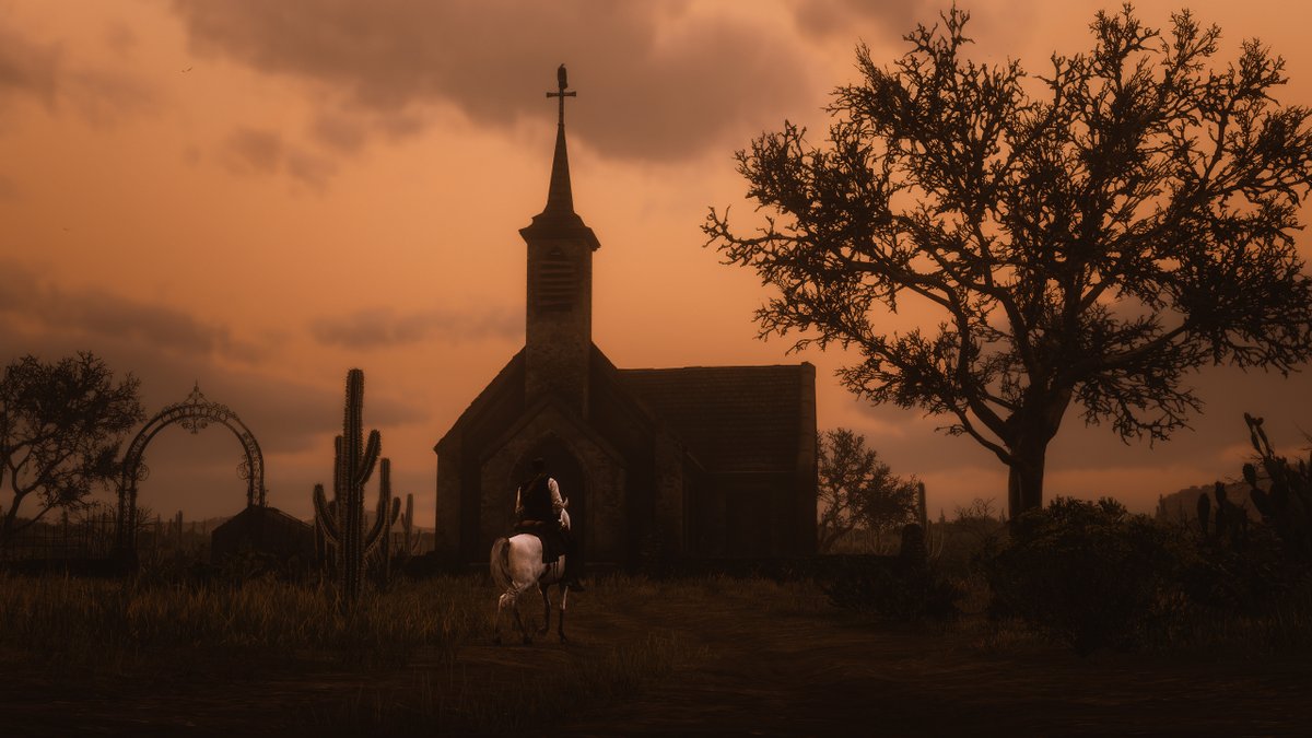 Red dead redemption II 🍁