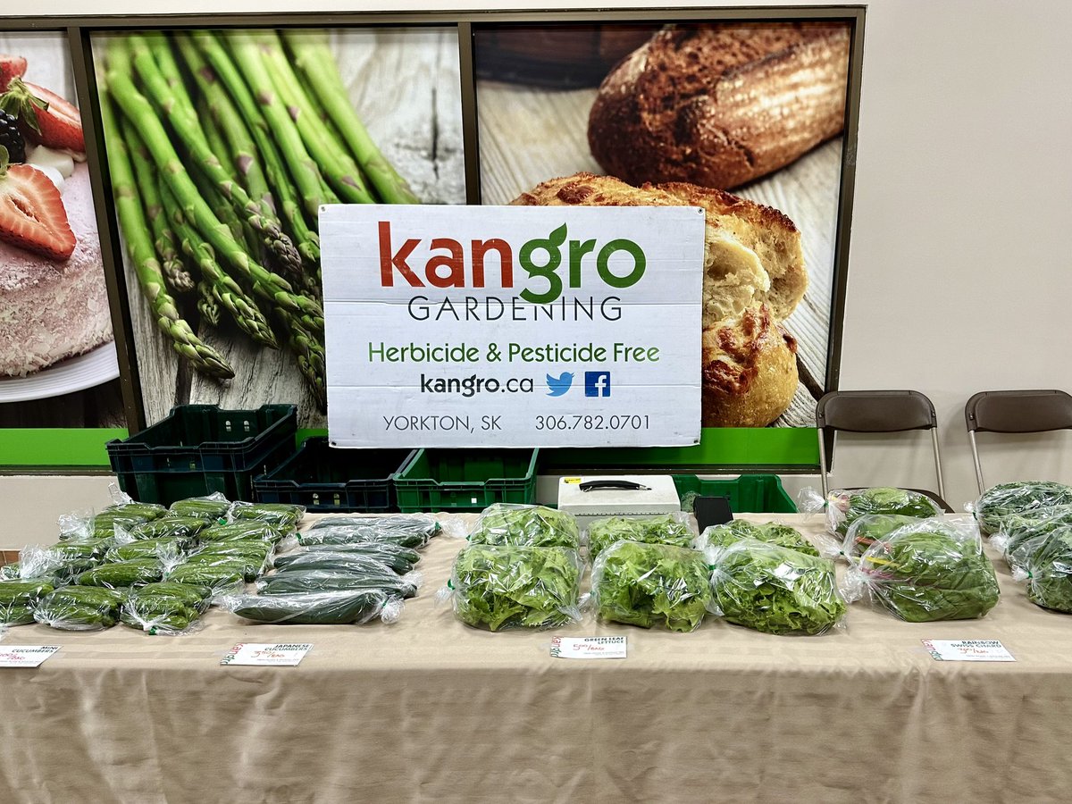 We are set up at the Yorkton Farmers Market until 130 with cucumbers, lettuce, kale and Swiss chard!