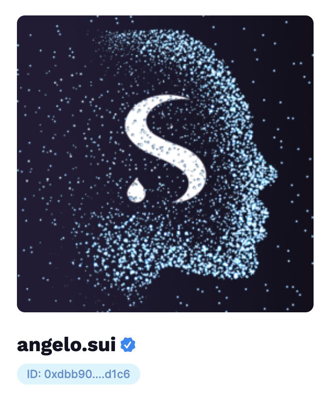 Two days ago I was celebrating the 400 followers goal, and today we are already 500! That's insane guys. Thank you $SUI folks, you are all legends. To celebrate properly, I have just bought my first @SuiNSdapp domain. Now angelo.sui is officially registered 🥳