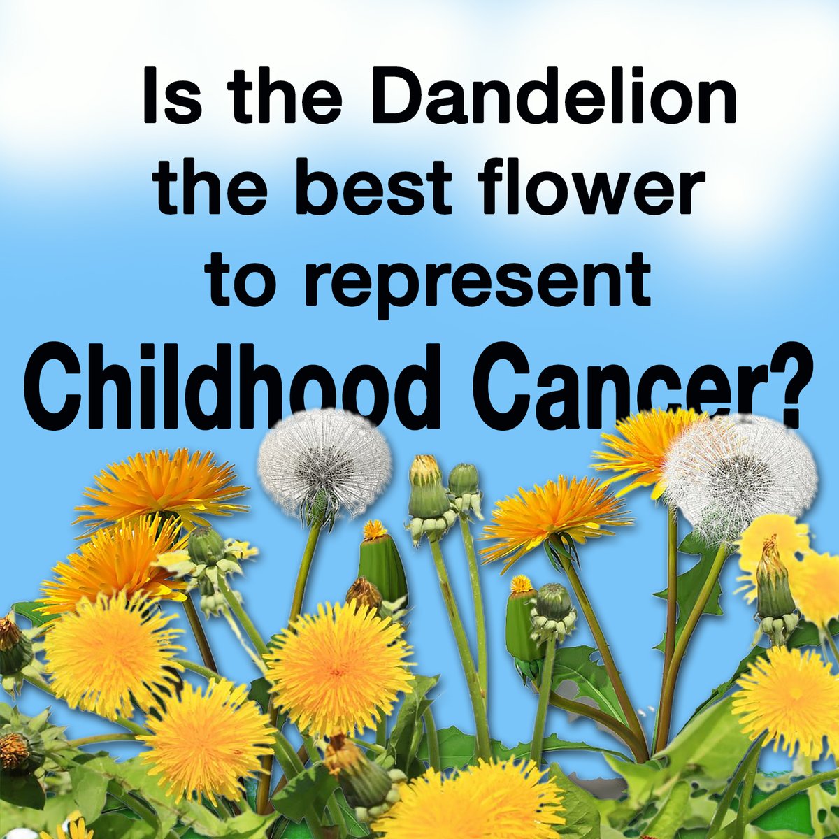 Most parents don't like #ChildhoodCancer or weeds. Kids are attracted to dandelions, & cancer seems to be attracted to kids. Both are hard to cure. Chemicals appear to work well at first, but may cause unwanted late effects. #FindACure @cac2org @HappyQuailPress @leezawilllshe