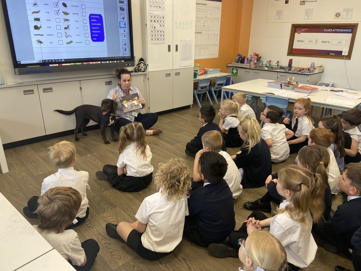 halfpennylane's tweet photo. Belle loved her time in 1A this afternoon sharing a book together! The children told her why Reading is so important! 🐶📚
#ReadingDog #canineconcern #Readingislife #BeHalfpenny https://t.co/VWe0rBDjDC