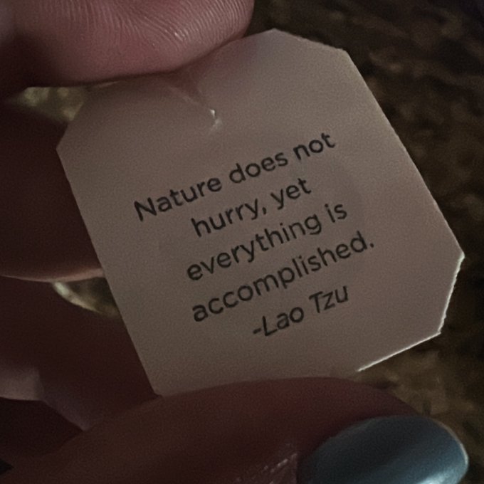 From my tea 🍵 shared to you 😘 #tea #quoteoftheday #smile #nature https://t.co/rt8HtQSD4F<a href="/tag/tea"class="tags">#tea</a><a href="/tag/quoteoftheday"class="tags">#quoteoftheday</a><a href="/tag/nature"class="tags"><span>#nature</span></a><a href="/tag/smile"class="tags"><span>#smile</span></a>