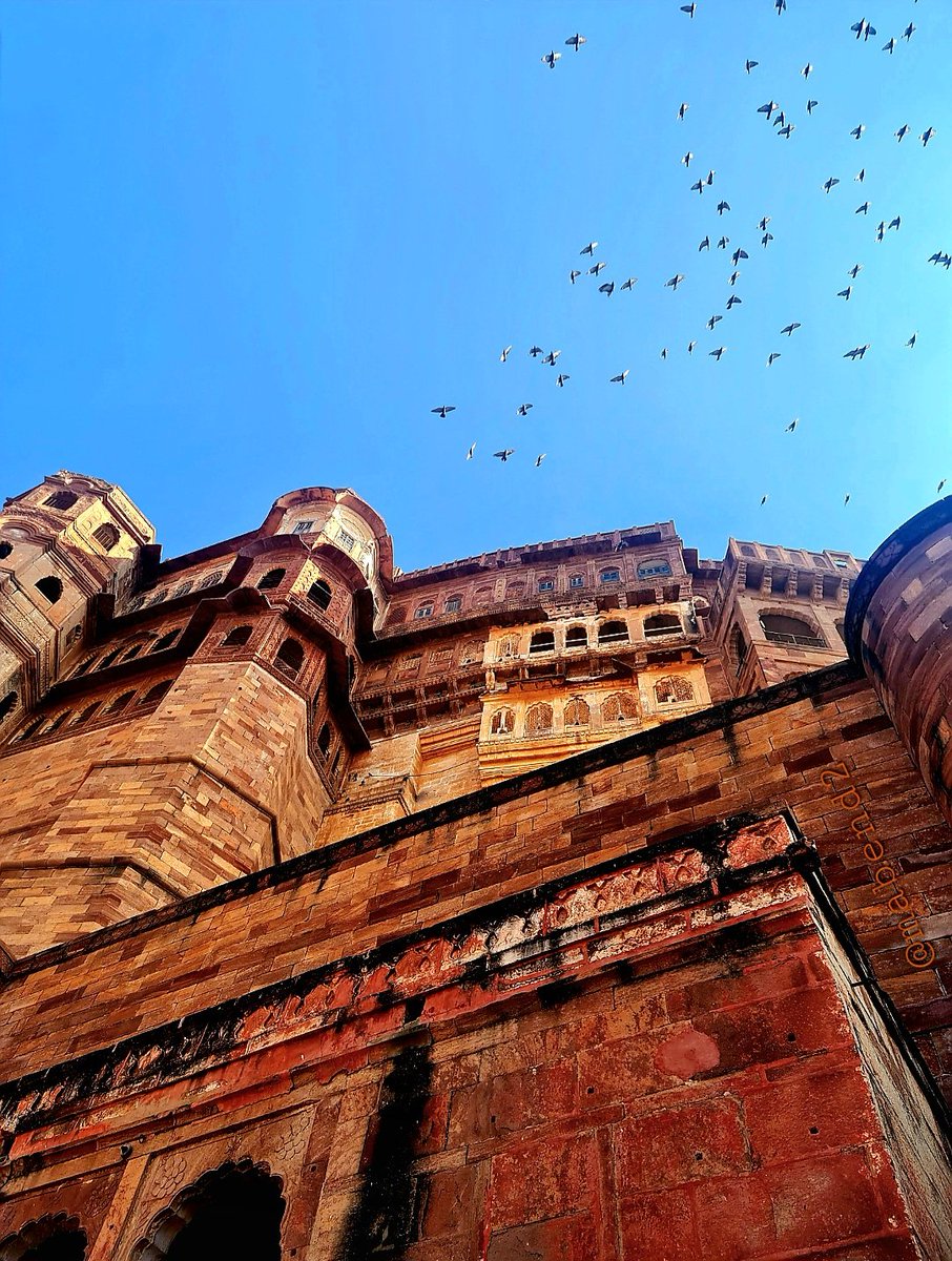 @Lightroom Monument 📷 
#Mehrangarh 
#IncredibleIndia 
#mandysart