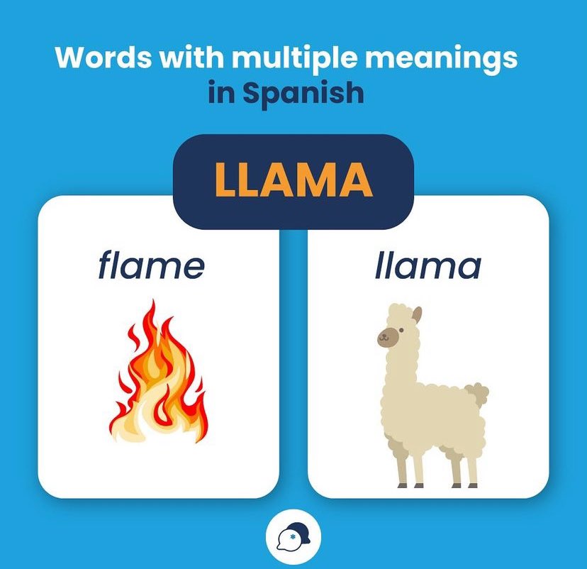 Spaneasy tweet media
