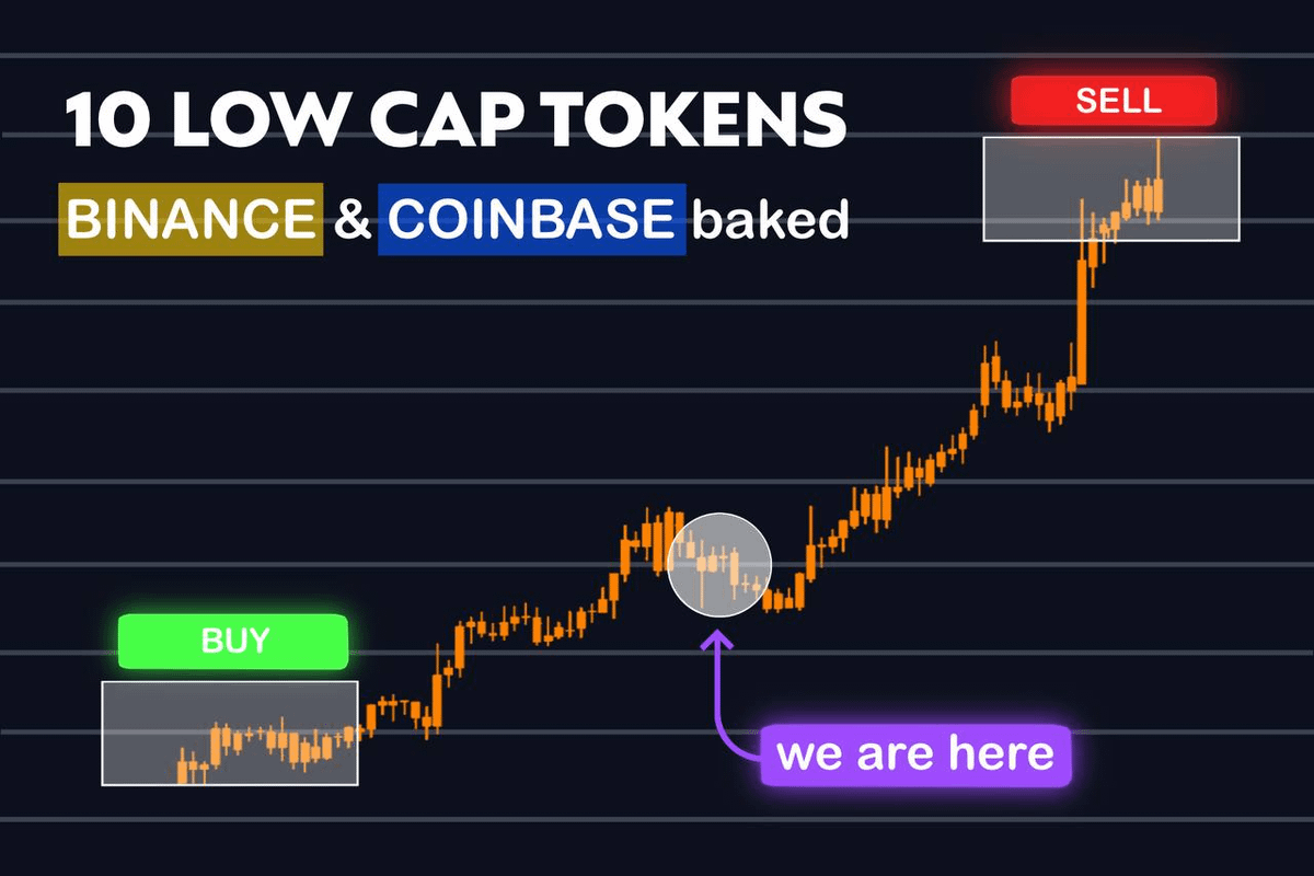Danny_Crypton's tweet photo. Binance &amp; Coinbase low-cap tokens are preparing for the next surge.

If you want to turn $1k -> $200k, you need to act now.

In the last cycle, $AVAX and $TON grew by more than 15x.

Selected 10 low-cap tokens endorsed by CZ and Brian⬇️ https://t.co/QuFkg3XjdB