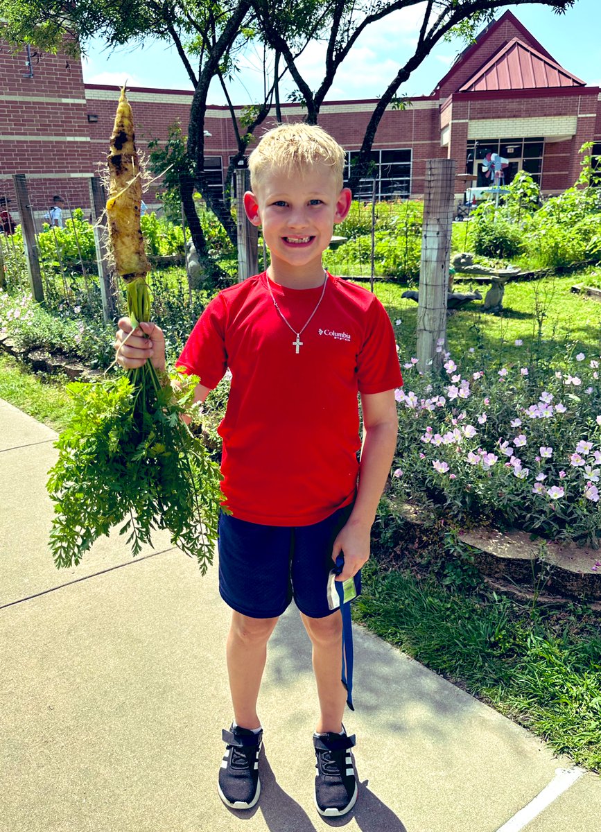 Ready to Grow Garden tweet media