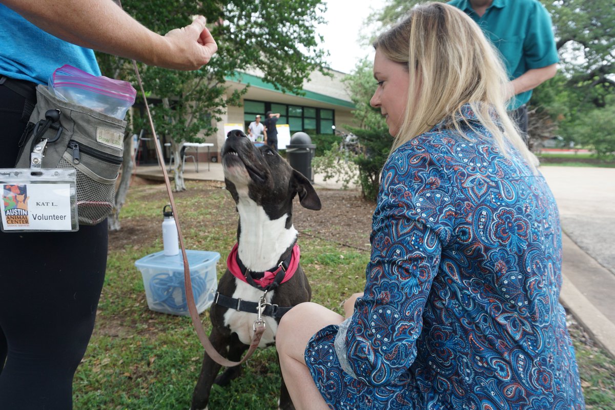 PaigeForAustin's tweet image. Six more days until our D8 Community Fair! Come connect with the D8 office &amp;amp; staff from @AustinCityParks, @austinfiredept, @austinmobility and more. Plus pet adoption opportunities and free ice cream! Visit the Hampton Branch Library between 4-7pm on 4/24. bit.ly/D8Fair24