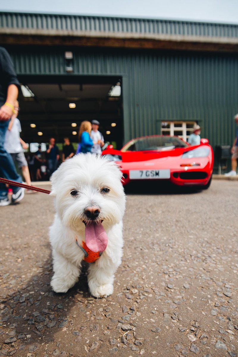 Who’s going to be joining us at the @BicesterH Scramble on Sunday? 🙌 We can’t wait to welcome all of you to our home. 🧡