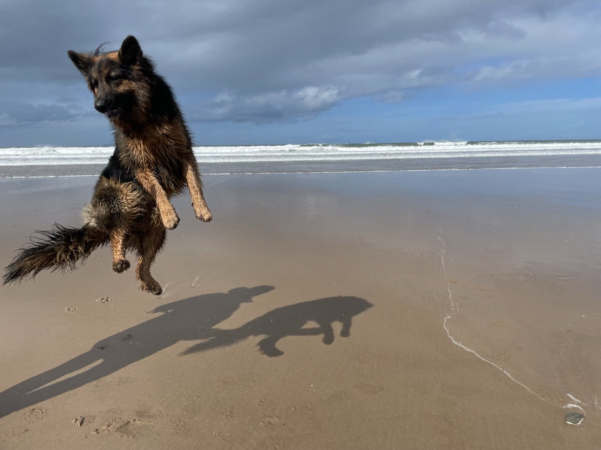 This is how I feel every time I get a new response to my research survey about inter professional teamworking in acute neurosurgery app.onlinesurveys.jisc.ac.uk/s/plymouth/int… please keep the responses coming, they are really appreciated.