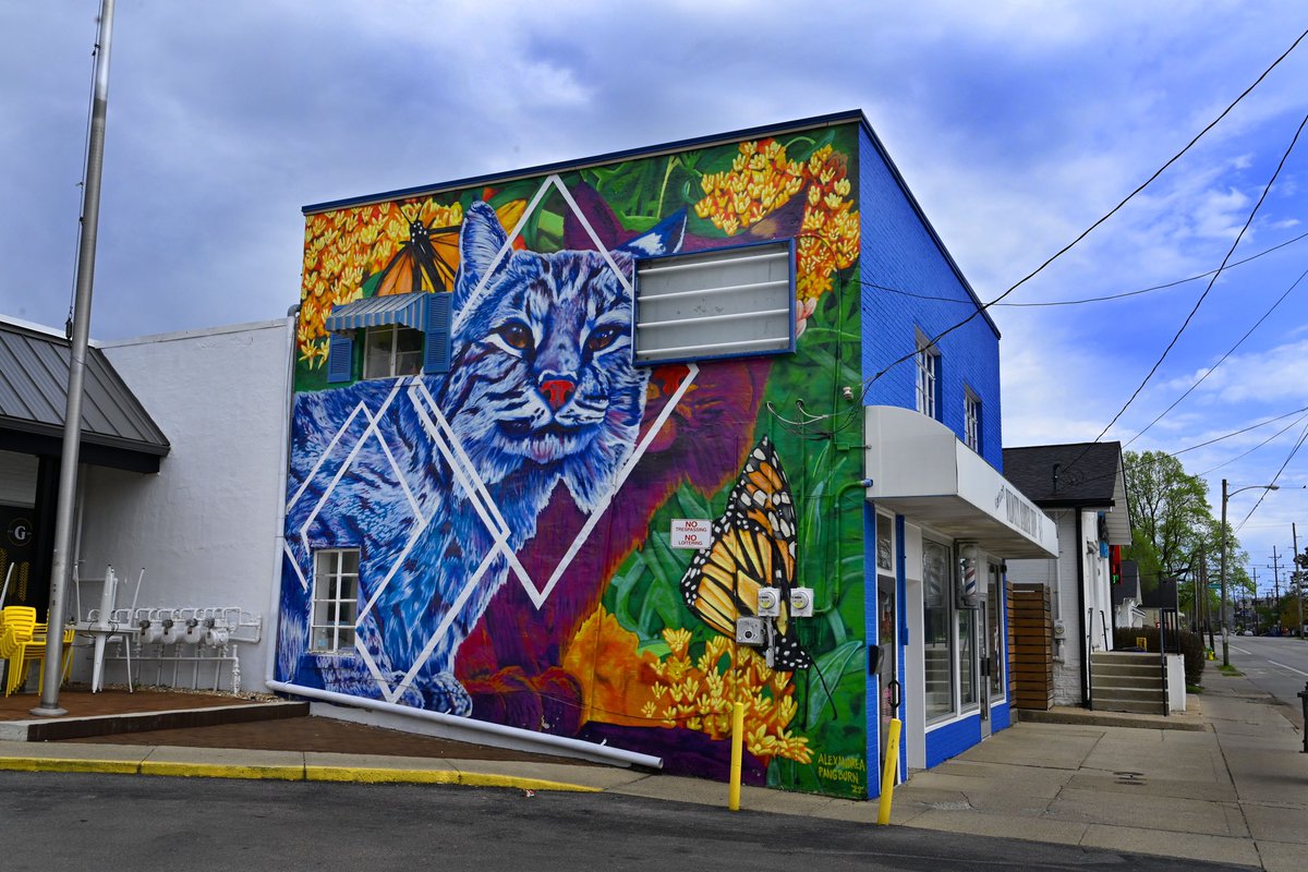 Mural Located on the Corner of Euclid Avenue, 2024
Campus of University of Kentucky 
Lexington, KY

#shotonnikon #NikonZF #sharethelex #LexingtonKy #universityofkentucky