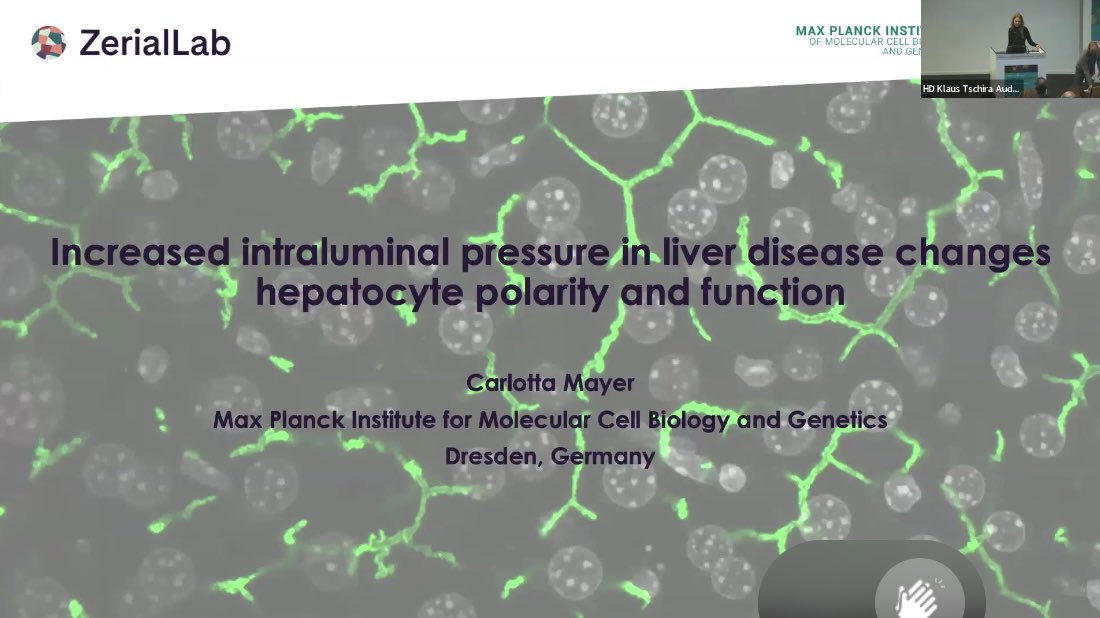 Wonderful collection of talks spanning from biology to physics! It has been an honor to be a part of it and share my work - Hope to be back for the next edition 🧬#EESMechanobiology @EMBLHeidelberg