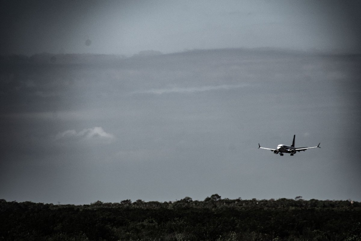 El aeropuerto Jardines del Rey, en Cayo Coco es uno de los que más crece en cantidad de vuelos y pasajeros, y el único que hasta la fecha supera estos indicadores con respecto al año 2019, previo a la crisis generada por la pandemia del nuevo coronavirus...

#TransporteCuba
