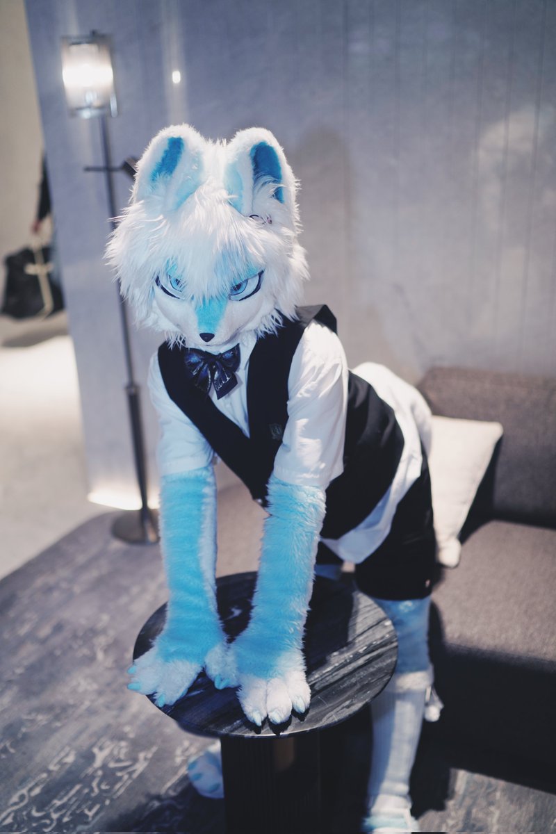 ＃Fursuit #FursuitFriday 
长条狐狸

📷:@Paxoniv