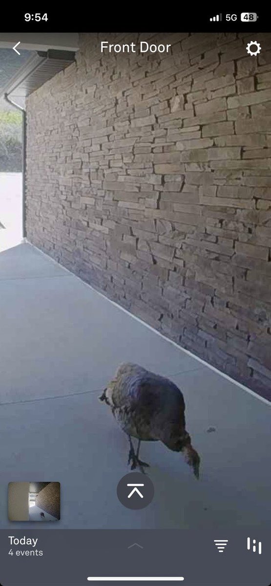 MelisaStark's tweet photo. Smoked turkey anyone?🤣 https://t.co/OxeJRaABWx