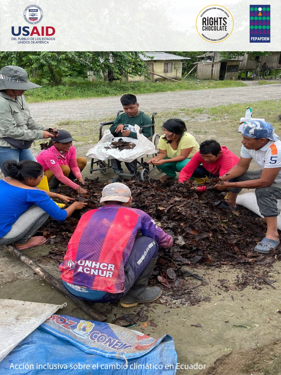 fepapdem's tweet photo. Combatimos el cambio climático con enfoque inclusivo.
@Fepapdem y @ChocolatesRights, con el apoyo de @USAIDLAC iniciamos capacitaciones técnicas a 23 familias de personas con discapacidad para la producción de cacao orgánico. #mitiguemoselcambioclimatico #cacaoorganico #inclusion https://t.co/B1A2oF1UkV