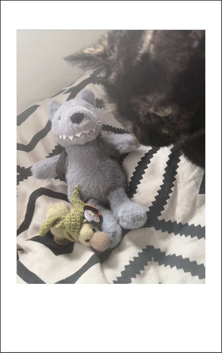 Der Kuschelmensch sagt, dass unser neuer Mitbewohner einen Namen braucht. 
Helft ihr uns? 👉🏻👈🏻