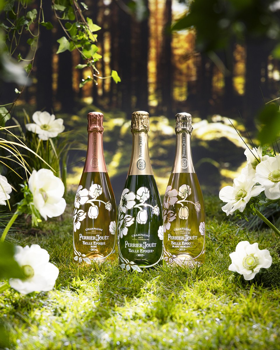 perrierjouet tweet picture